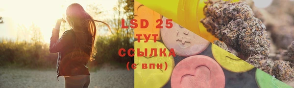 стаф Алзамай