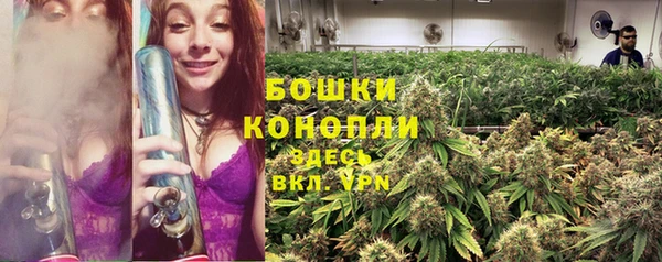 спайс Абаза