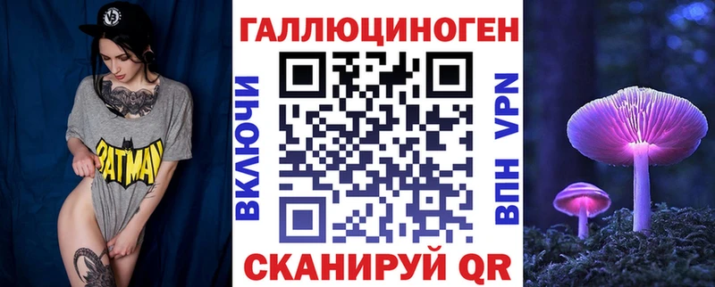 где можно купить   Благодарный  Галлюциногенные грибы GOLDEN TEACHER 