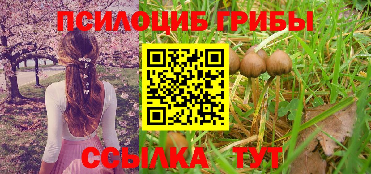 Псилоцибиновые грибы ЛСД Благодарный