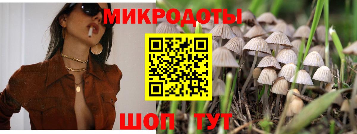 Псилоцибиновые грибы Psilocybine cubensis  Вход с VPN  как найти наркотики  Благодарный 
